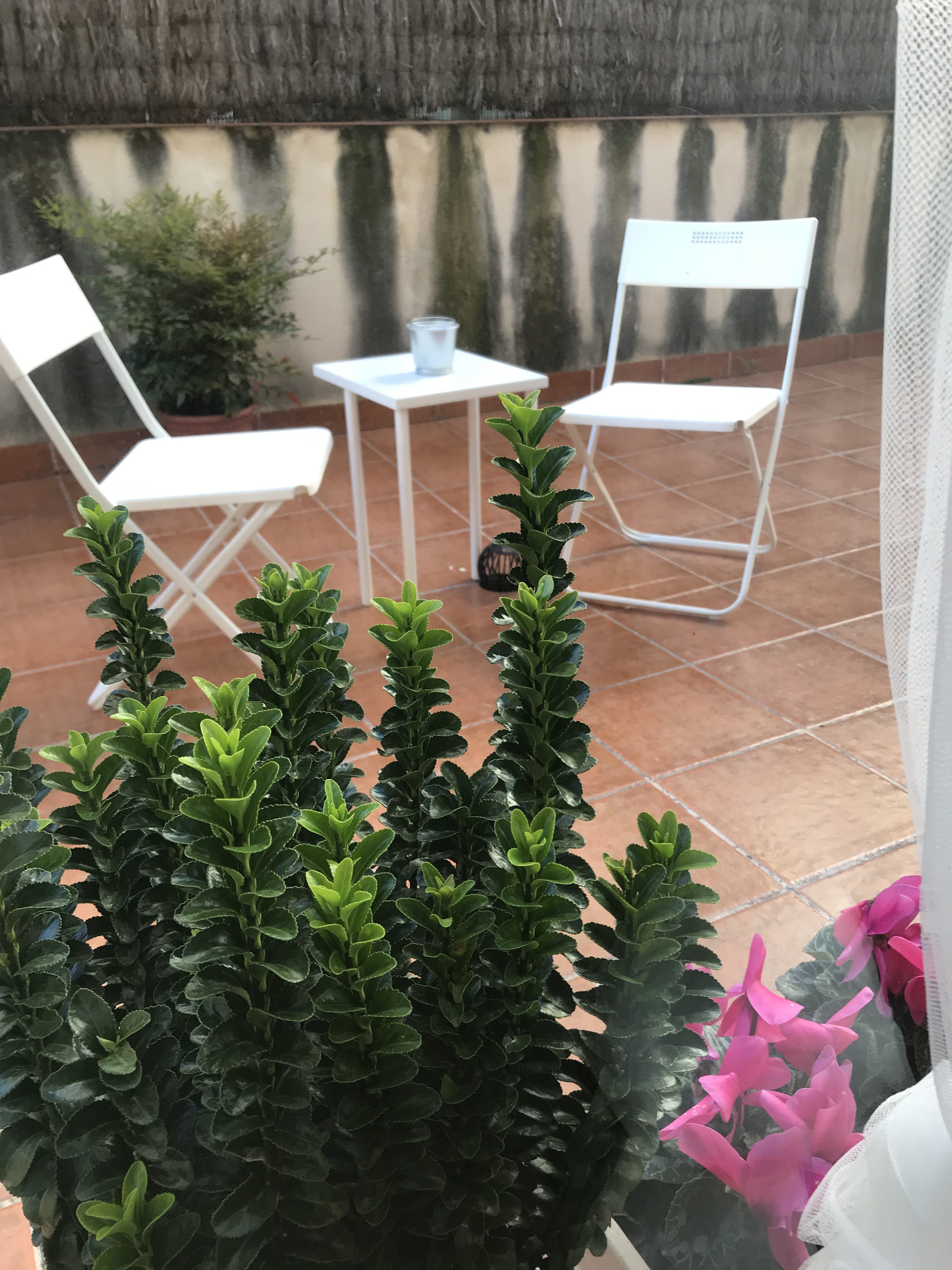 Ambiente del centro de acupuntura